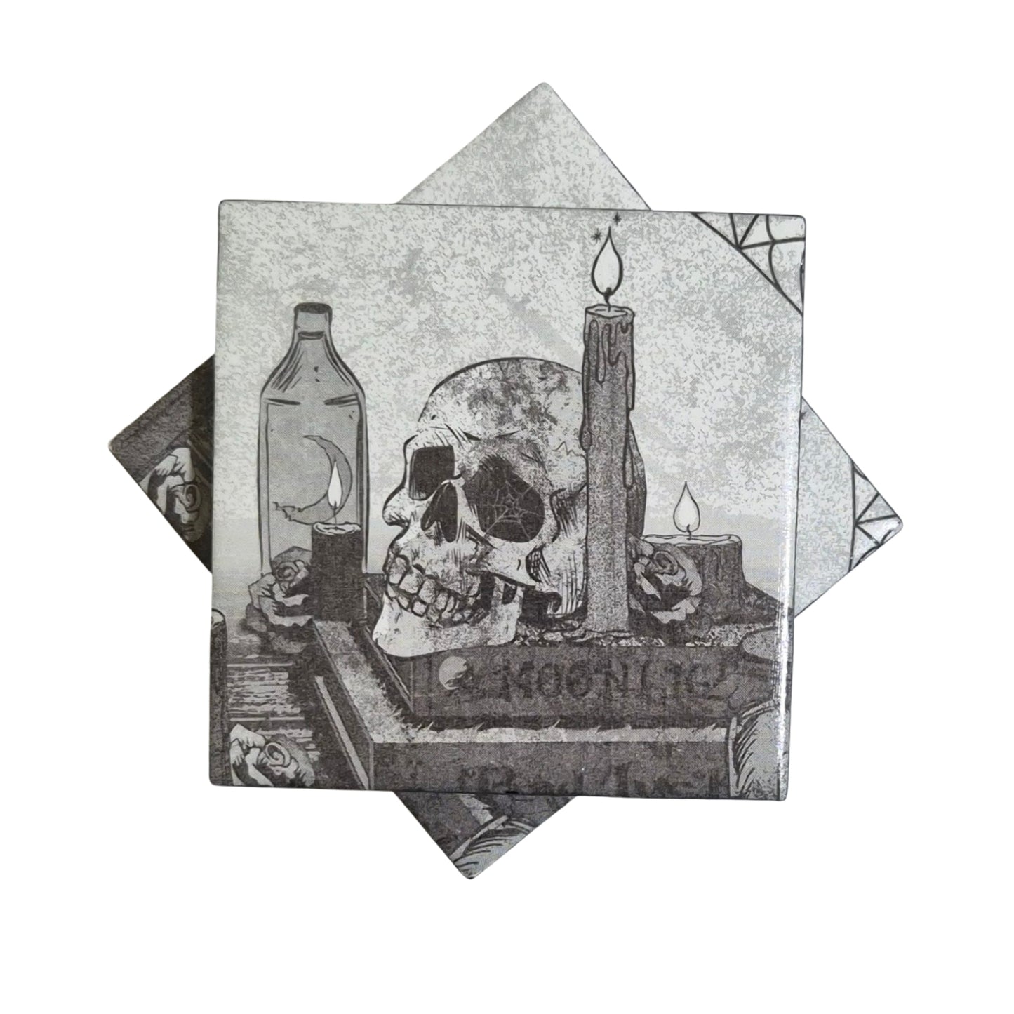 Literary Skull Coasters