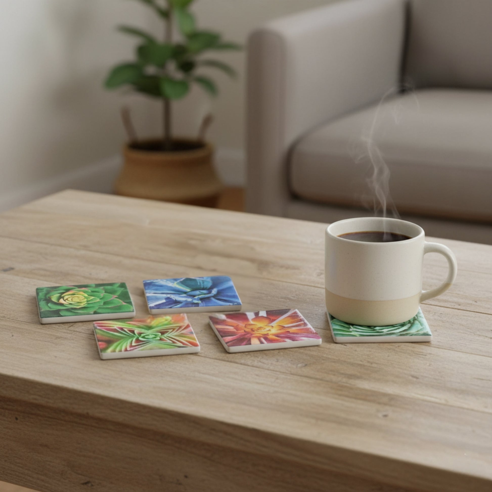 succulent coasters Succulent Coasters – Chandelirium